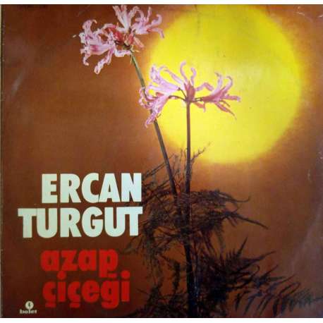 ERCAN TURGUT AZAP ÇİÇEĞİ 1981 LP.