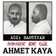 AHMET KAYA İYİMSER BİR GÜL LP.